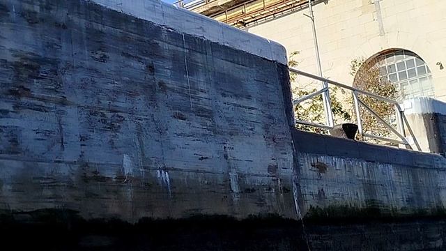 #8. Круиз по Волге. Сентябрь 2025г. 3 и 4-й день круиза. Прохождение шлюзов Развлечения на теплоходе