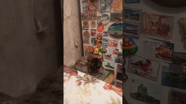 просто так погулять