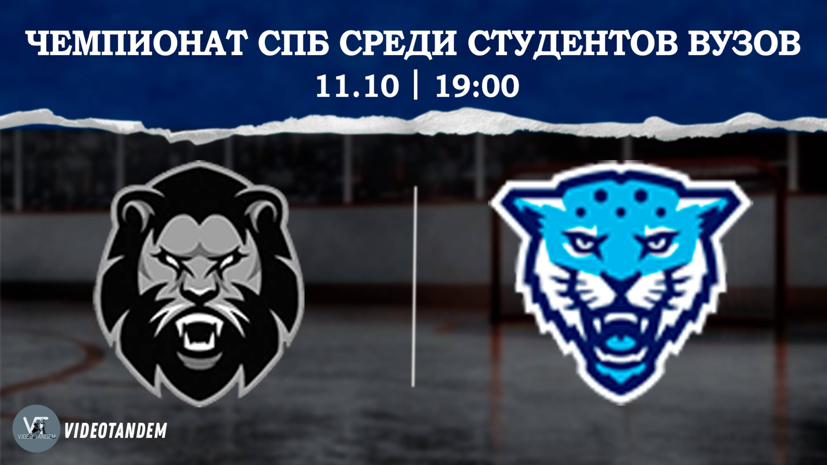 Невские Львы - Кронверкские Барсы / 11.10.2025