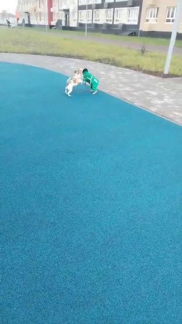 1000017935.mp4
