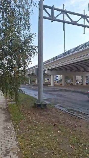 Мысли про Торг при покупке квартиры 11 октября 2025 года