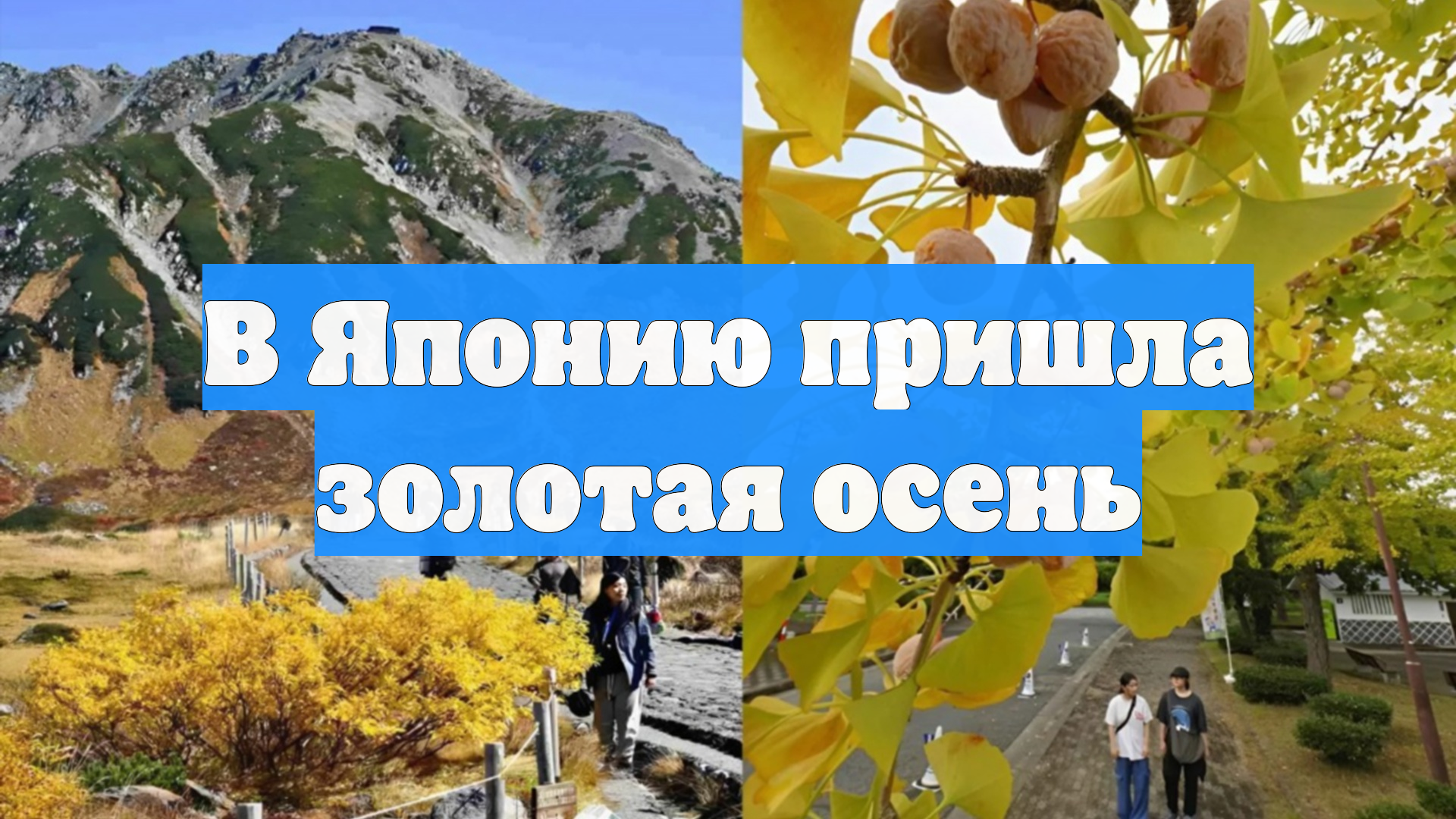 В Японию пришла золотая осень