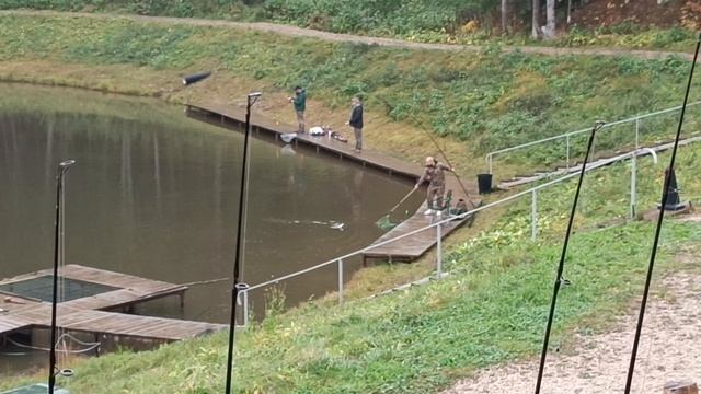 Forest Fishing 11.10.25