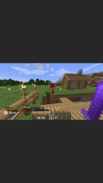 Minecraft Антигриффер Шоу