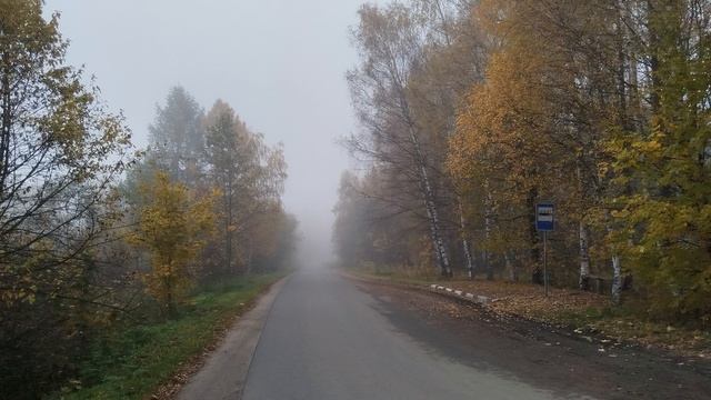 Густой адвективный туман 9 октября 2025г