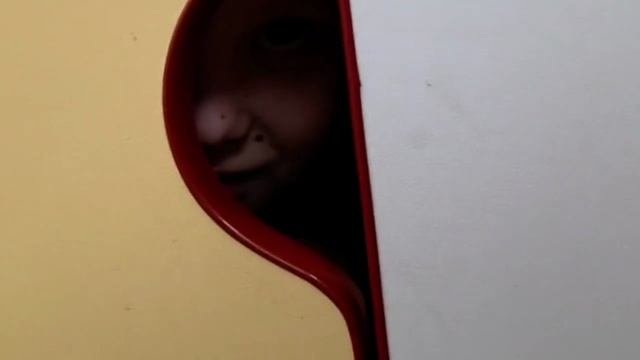 Партизаны