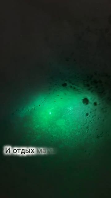 Арт. Wb #216754000