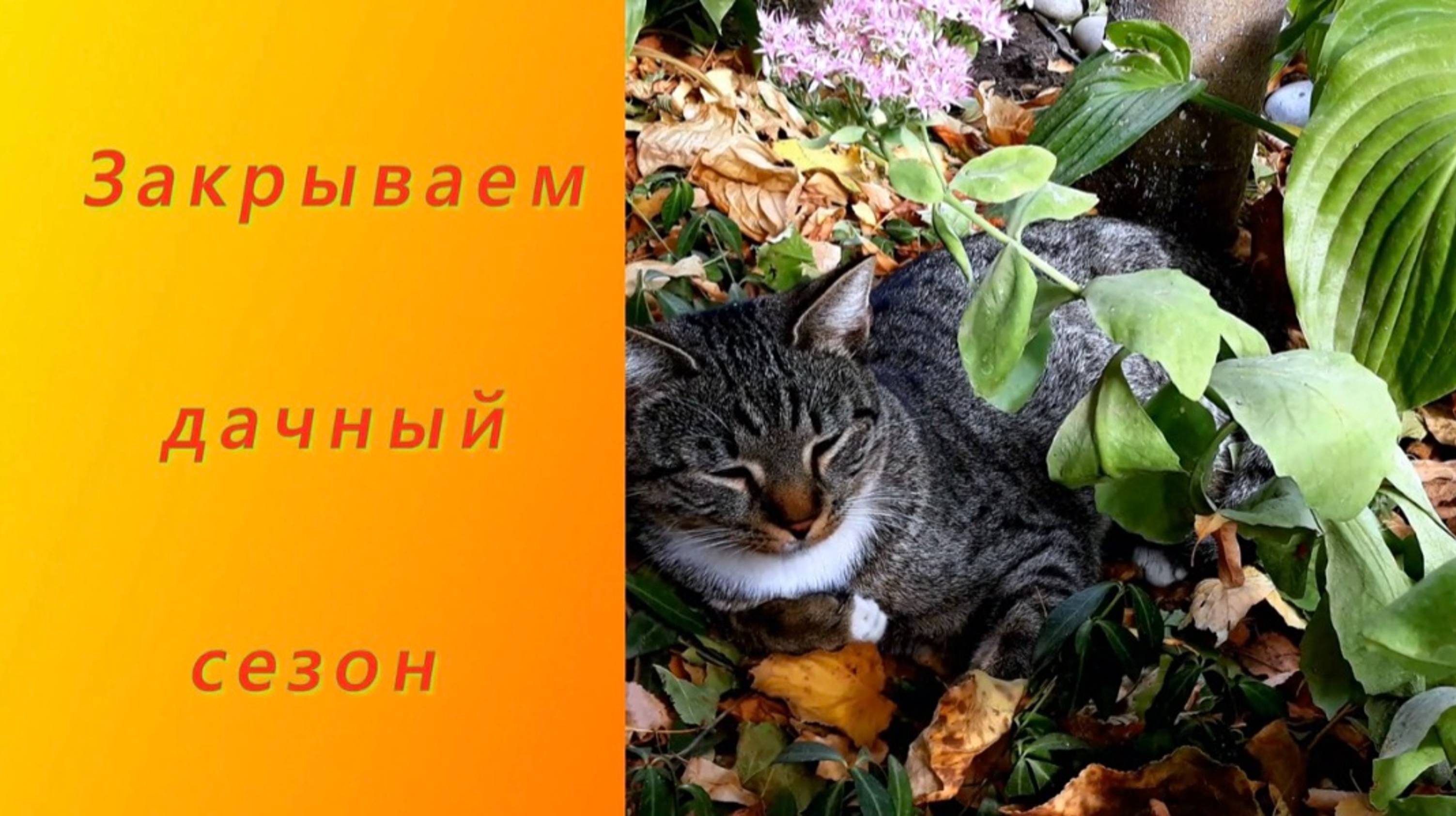Пора закрывать дачный сезон