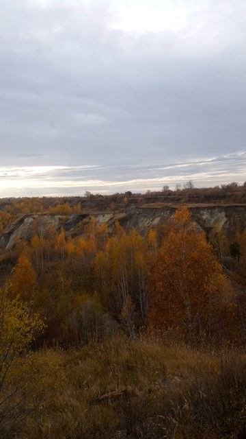 2025-10-10-15-28-34-923   Карьер