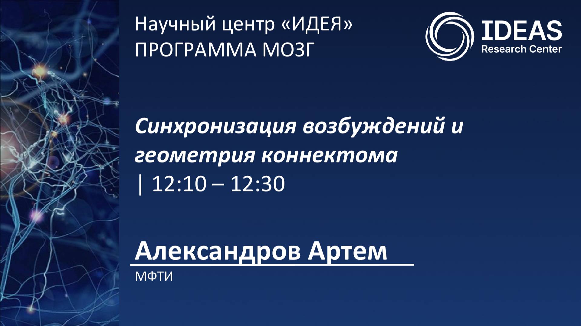 Синхронизация возбуждений и геометрия коннектома
