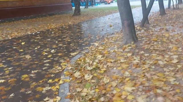 Дождь в Москве просто дождь