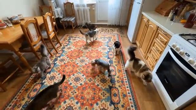 Экстремальные прятки в доме