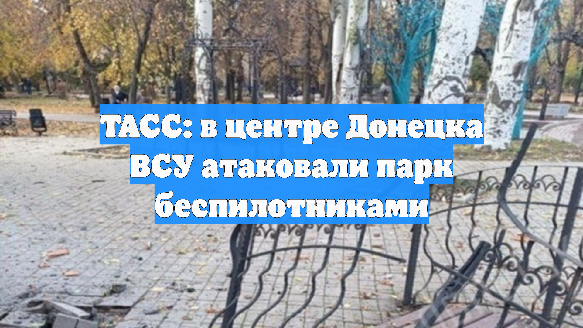 ТАСС: в центре Донецка ВСУ атаковали парк беспилотниками