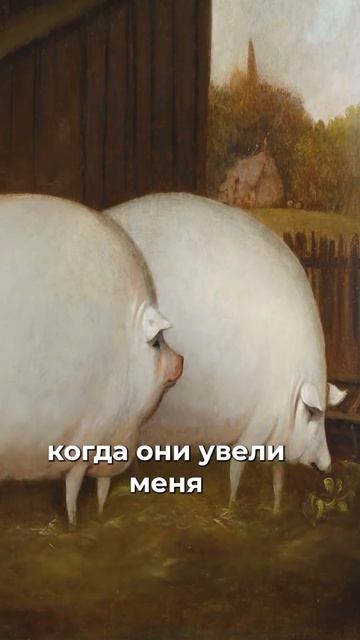брат