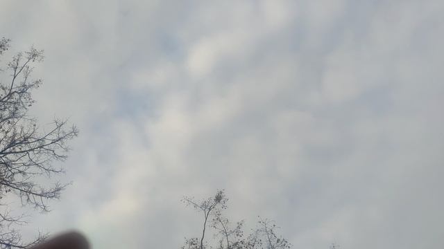ждите солнце от волшебника 11 октября