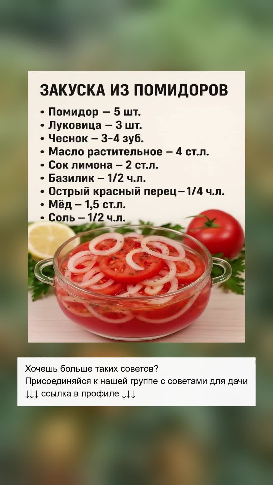 Освежающий рецепт закуски из томатов
