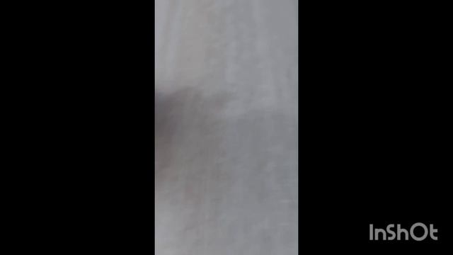1000137096.mp4