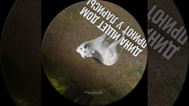 Дина ищет дом Https://dzen.ru/priyutularisi помогите репостами🫶🐕