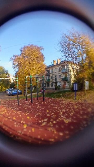 осень 🍁🍂