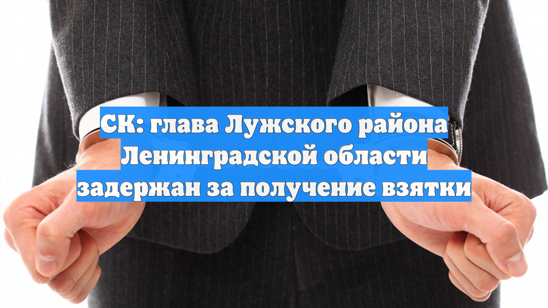 СК: глава Лужского района Ленинградской области задержан за получение взятки