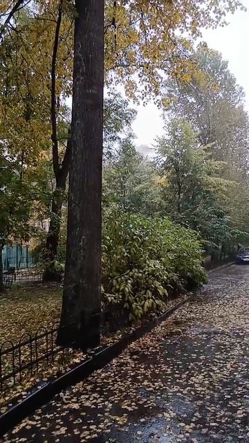 дождь С-Пб тоска октября