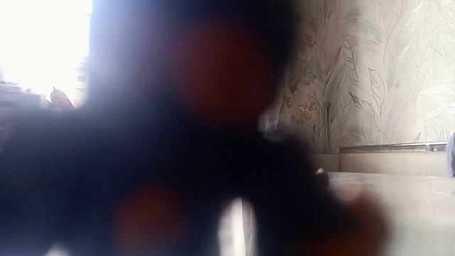 серия выйдет уже сегодня