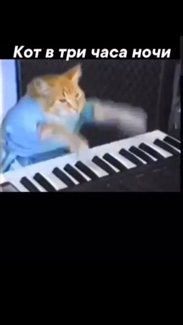 а говорил что не умеет!