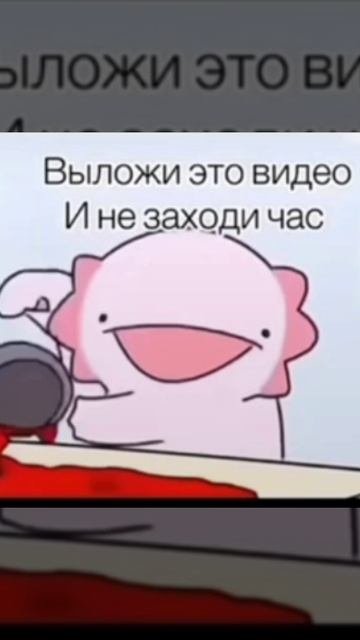 1000009114.mp4