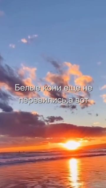 женщины ишут рыцарей,а они...