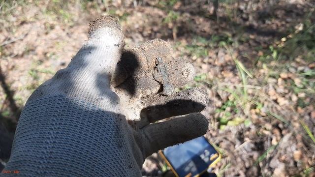 Крутое место. А сохран то монет какой!