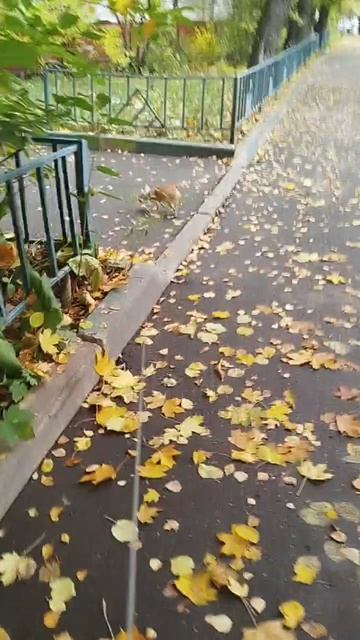 Сеня наслаждается прогулкой