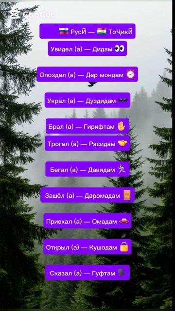 руский таджикиский силовар 🇷🇺🇹🇯