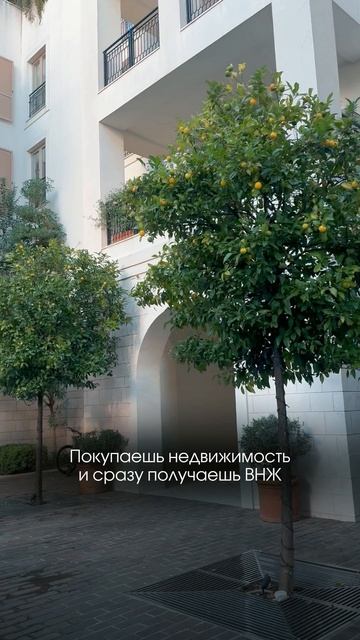 Бесплатный разбор твоих финансов и бизнеса в шапке профиля