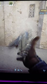 animation of the digol