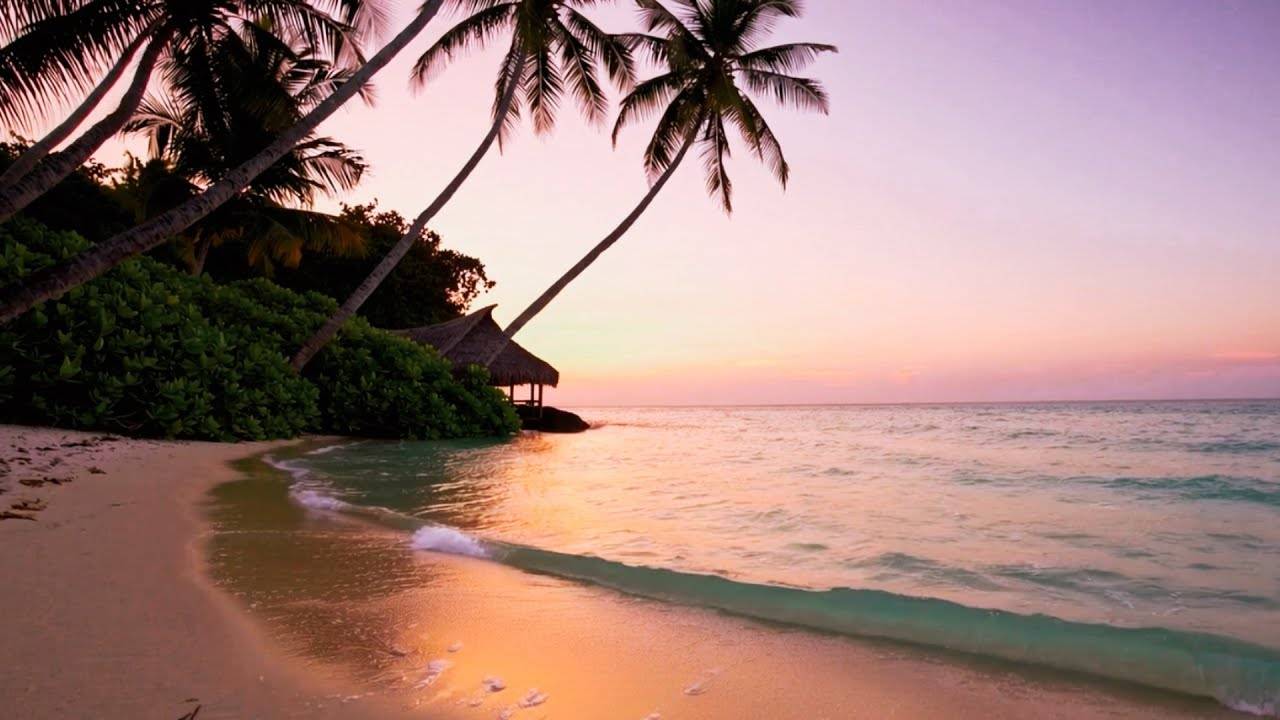 Dream Tropical Beach  1 Hour of Chill Out Music