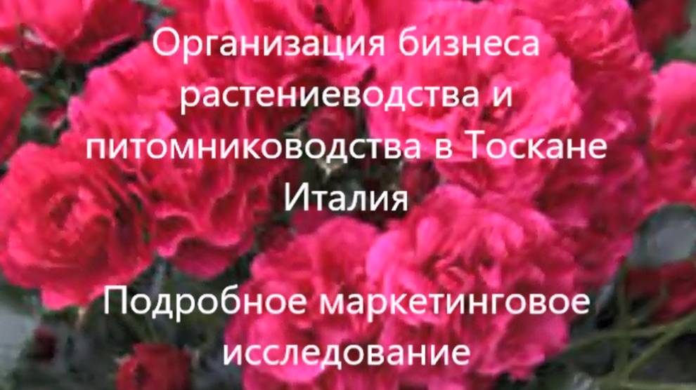 🌿 ИТАЛИЯ, ТОСКАНА, - БИЗНЕС РАСТИНИЕВОДСТВА И ПИТОМНИКОВОДСТВА - МАРКЕТИНГОВОЕ ИССЛЕДОВАНИЕ.