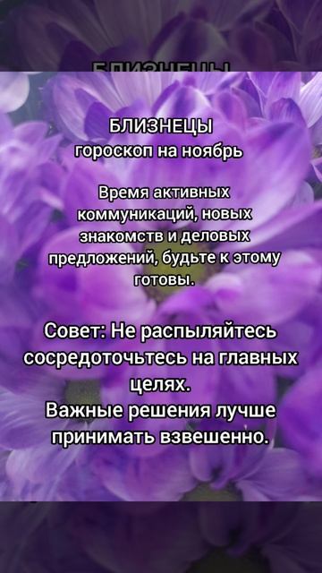 Близнецы гороскоп на ноябрь 2025
