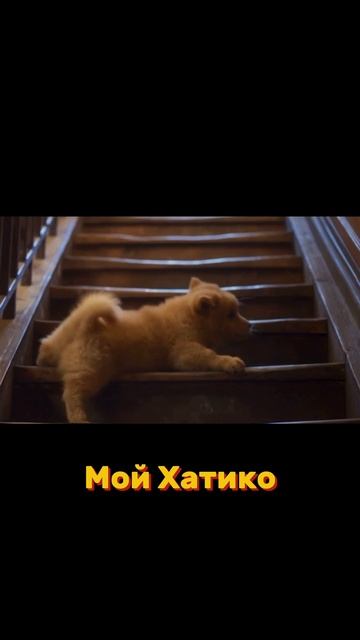 Фильмы которые вышли в хорошем качестве