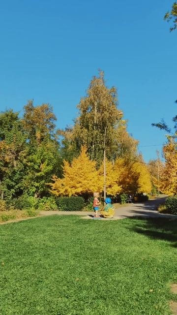 Прогулка в осенний парк культуры и отдыха «Гидростроитель» | Волжский | 09.10.2025