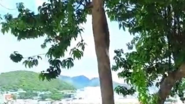 Пою Бессмертный, человек Автор стихи Мэри Сказ
