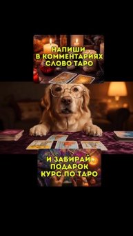 Женская школа Таро