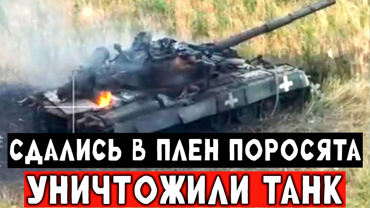Реальная мясорубка ЧЕРНЫЕ ГУСАРЫ подарили жизнь поросячьему экипажу танка СВО