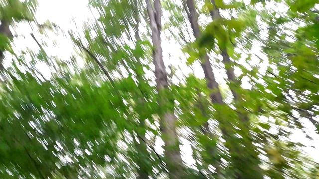Это видео мне далось с трудом...