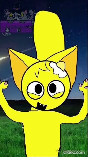 😸💛🤍