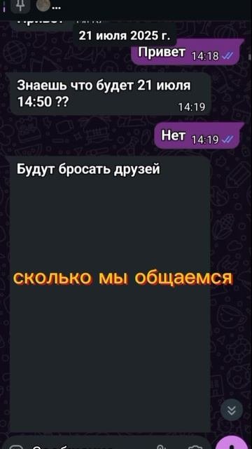 †★🐻