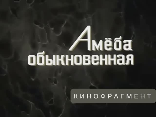 Амёба обыкновенная.  (Переделанный Научфильм. Учебное видео СССР)