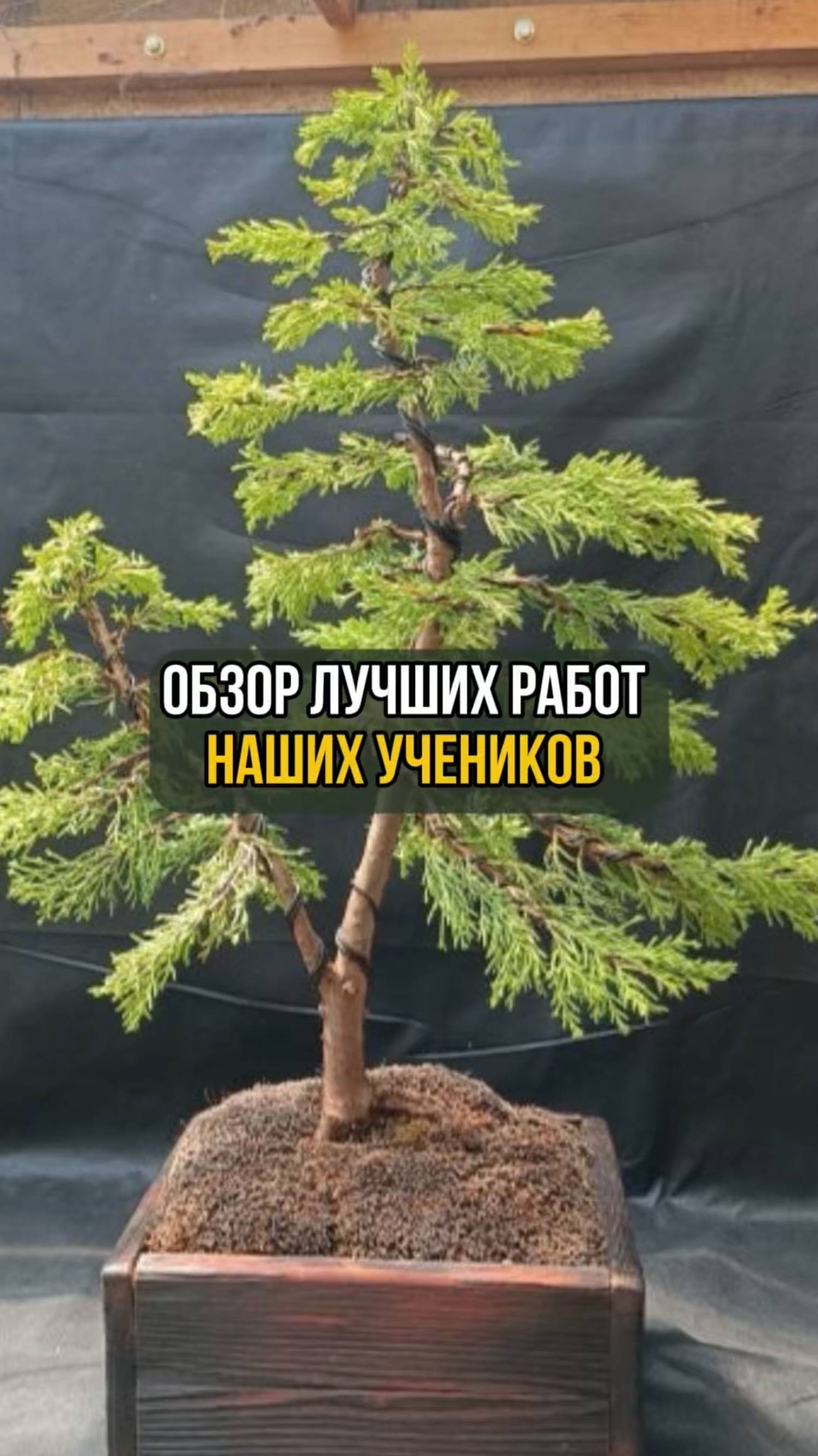 Обзор лучших работ наших учеников