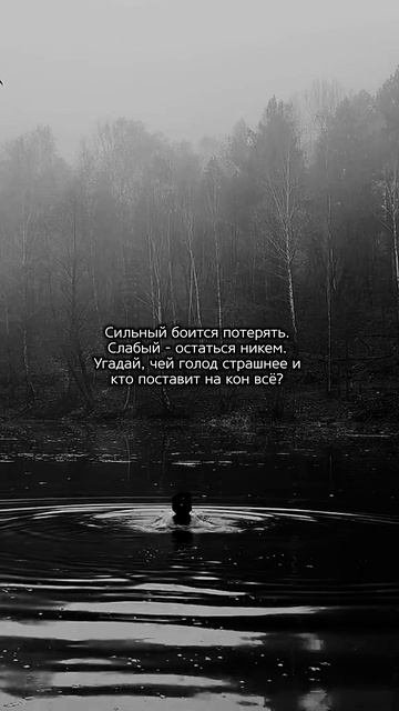 Чей голод будет сильнее? 🥷