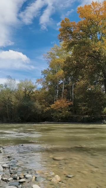 11.10.2025 сегоднятак природа прырода табиғ 自然 natureza natura 자연 طبيعة परकत nature