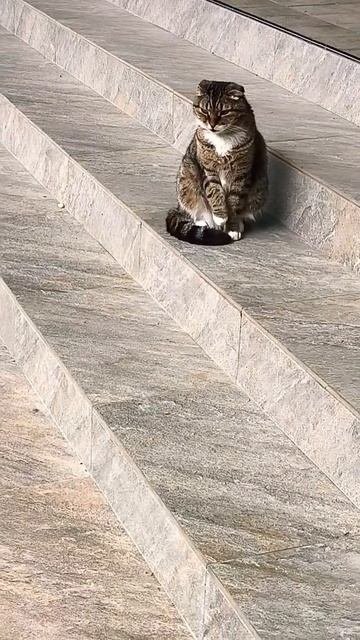 я тоже не пью